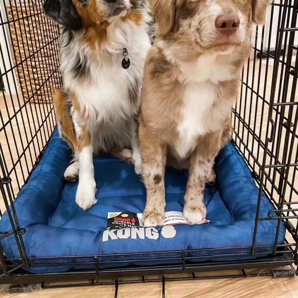 COPY - KONG durable dogbed